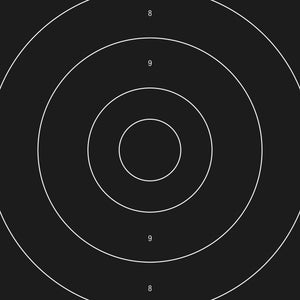 Ersatz zu P-Schnellfeuerscheibe SSV/ISSF, 25 m, Karton