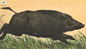 Scheibe DJV 7, Keiler laufend, rechts