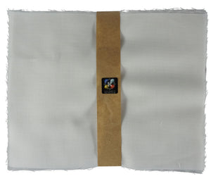 Chiffons de nettoyage 200 x 250 mm