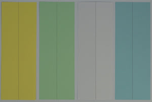 Cartes de stand neutres, perforé en milieu, 76 x 210 mm