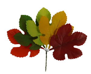 Weinlaub herbstlich bunt, gross