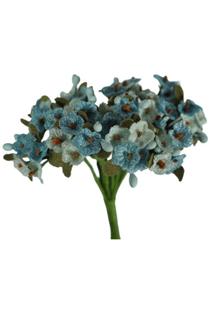 Myosotis en couleurs différentes