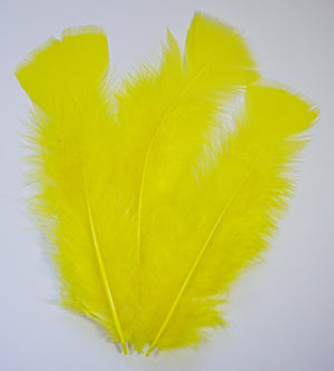 Schmuckfeder, mittel, 7 - 13 cm, 100 g