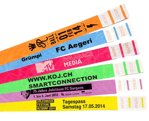 MASTER-Kontroller, mit Druck einfarbig, 25.3 x 1.8 cm